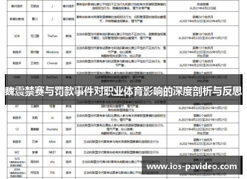 魏震禁赛与罚款事件对职业体育影响的深度剖析与反思
