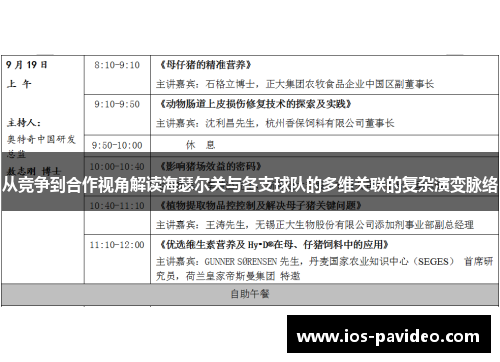 从竞争到合作视角解读海瑟尔关与各支球队的多维关联的复杂演变脉络 从竞争到合作视角解读海瑟尔关与各支球队的多维关联的复杂演变脉络