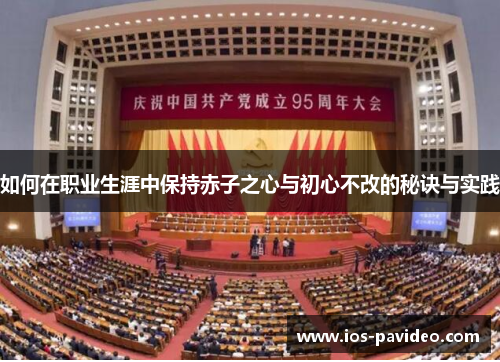 如何在职业生涯中保持赤子之心与初心不改的秘诀与实践