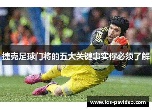 捷克足球门将的五大关键事实你必须了解